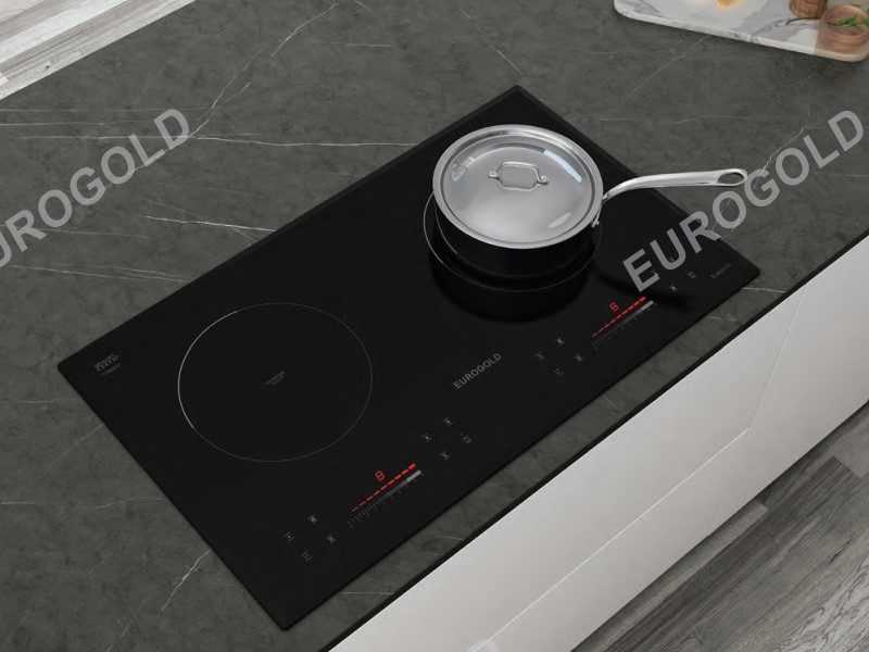 Bếp từ Eurogold EUH2110